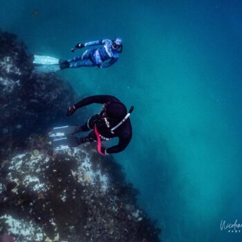 APNEA ADDICTS FREEDIVING CAPE TOWN FREEDIVING